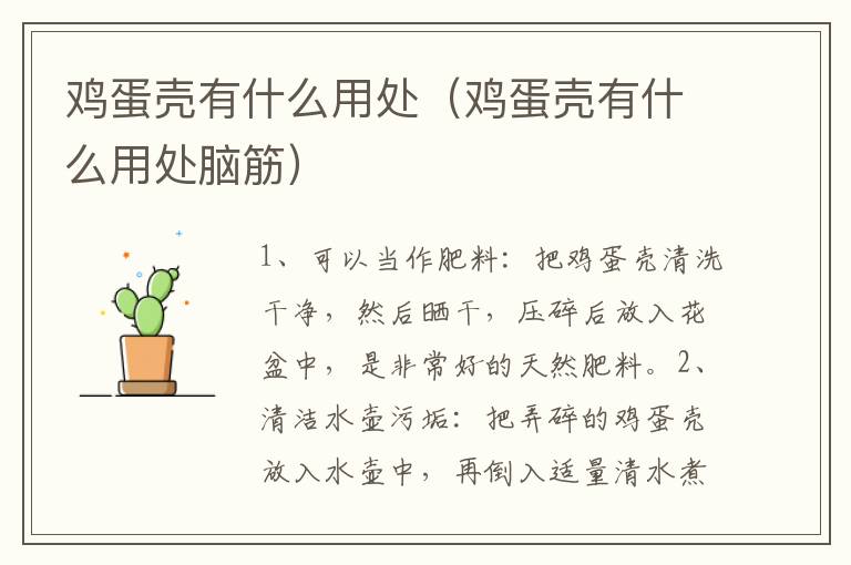 鸡蛋壳有什么用处（鸡蛋壳有什么用处脑筋）