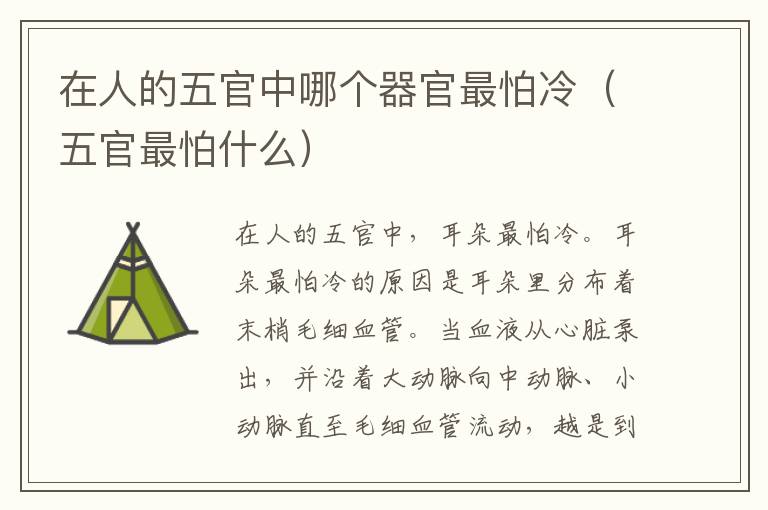 在人的五官中哪个器官最怕冷（五官最怕什么）