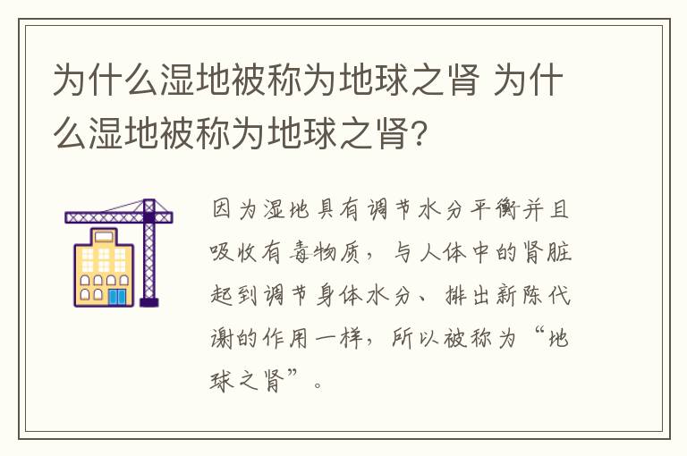 为什么湿地被称为地球之肾 为什么湿地被称为地球之肾?