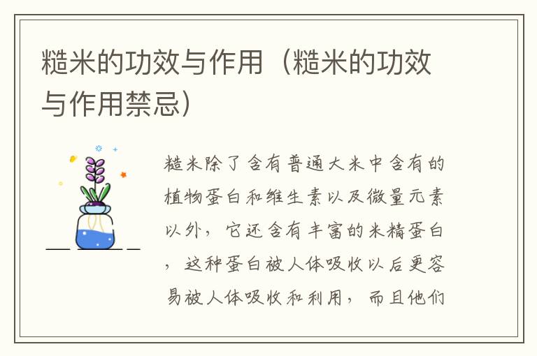糙米的功效与作用（糙米的功效与作用禁忌）