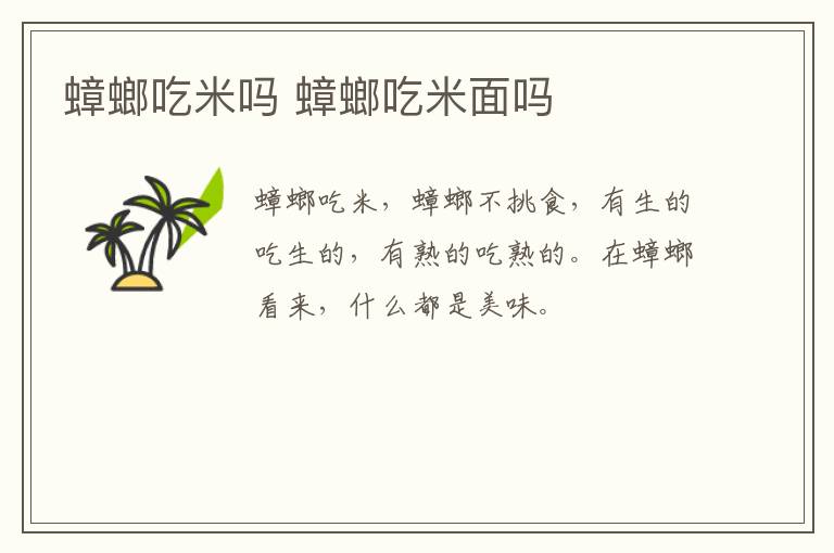 蟑螂吃米吗 蟑螂吃米面吗