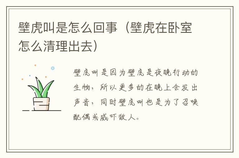 壁虎叫是怎么回事（壁虎在卧室怎么清理出去）