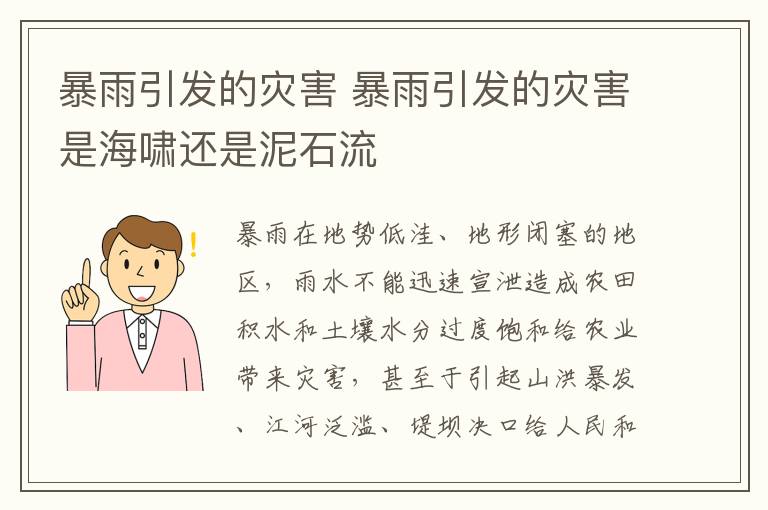 暴雨引发的灾害 暴雨引发的灾害是海啸还是泥石流