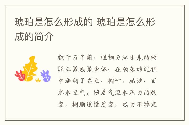 琥珀是怎么形成的 琥珀是怎么形成的简介