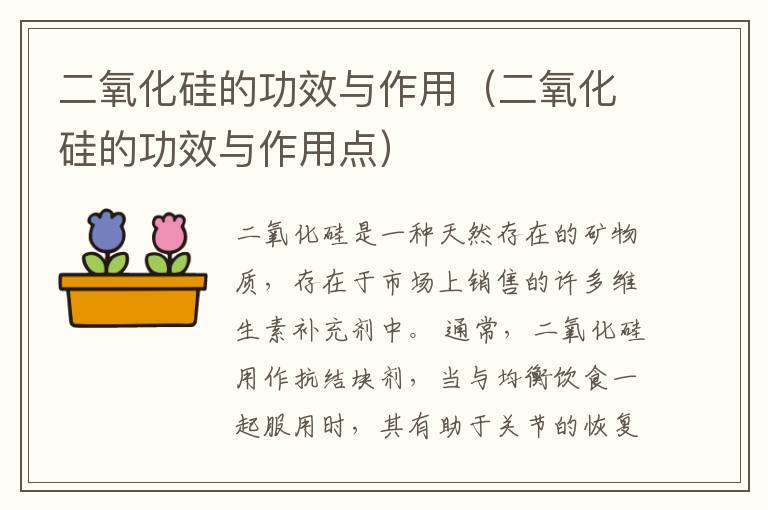 二氧化硅的功效与作用（二氧化硅的功效与作用点）