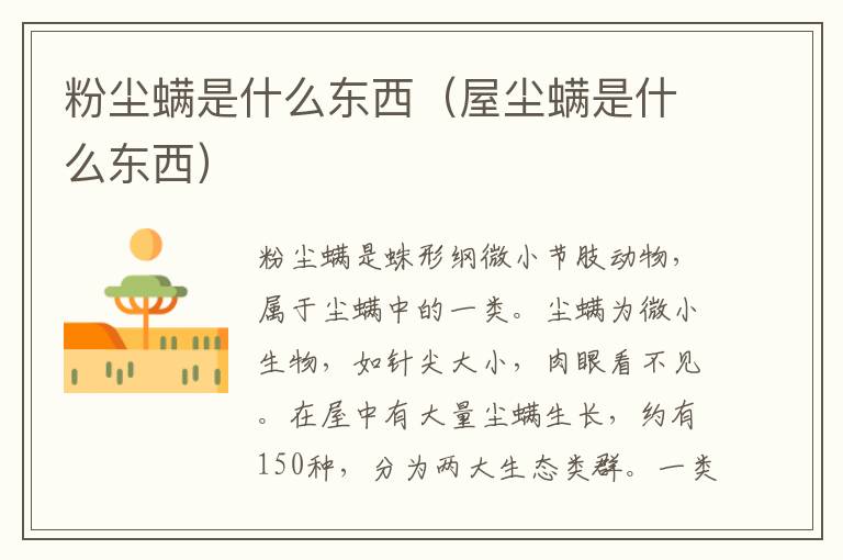 粉尘螨是什么东西（屋尘螨是什么东西）