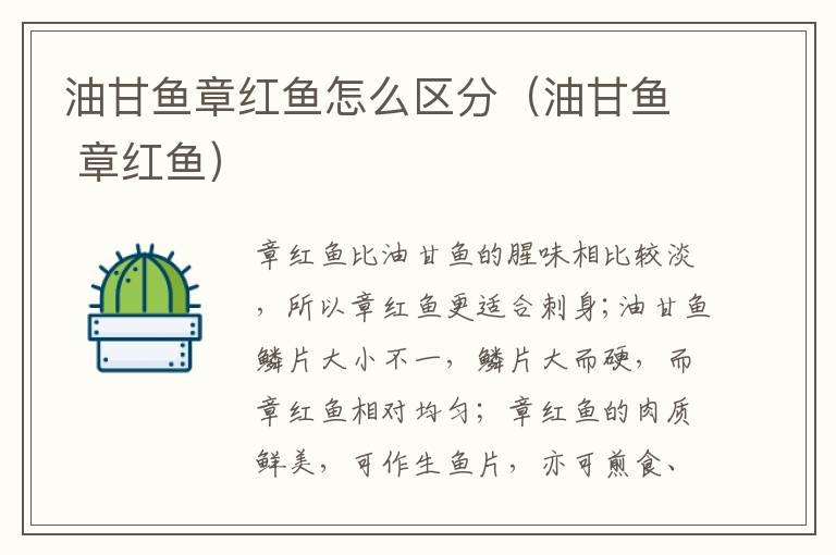 油甘鱼章红鱼怎么区分（油甘鱼 章红鱼）