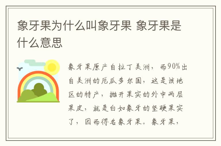 象牙果为什么叫象牙果 象牙果是什么意思