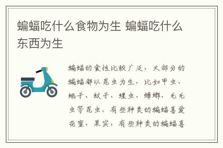 蝙蝠吃什么食物为生 蝙蝠吃什么东西为生