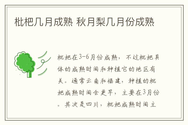 枇杷几月成熟 秋月梨几月份成熟