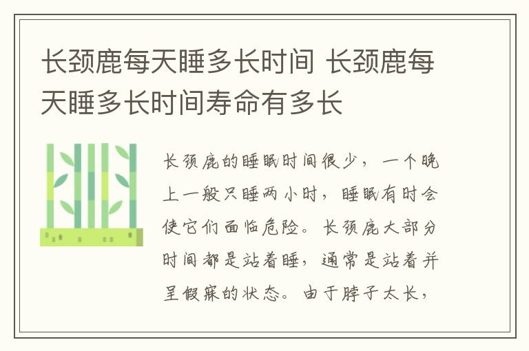 长颈鹿每天睡多长时间 长颈鹿每天睡多长时间寿命有多长
