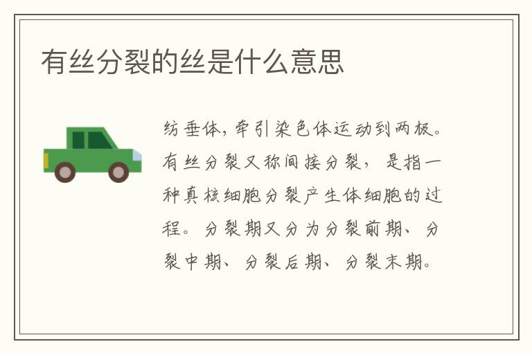 有丝分裂的丝是什么意思