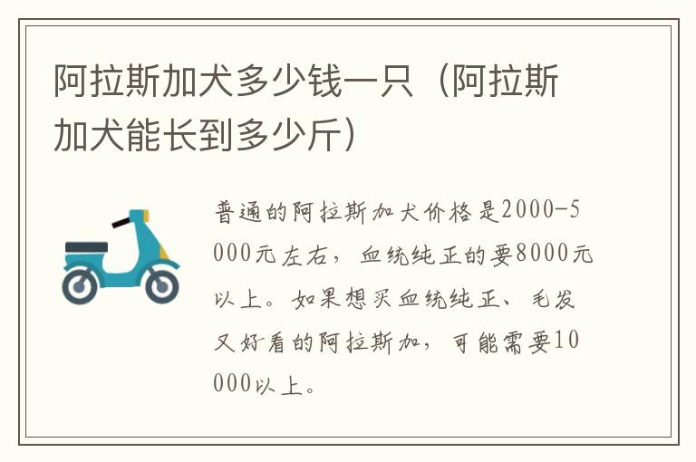 阿拉斯加犬多少钱一只（阿拉斯加犬能长到多少斤）