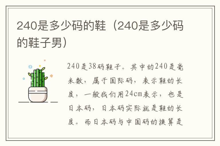 240是多少码的鞋（240是多少码的鞋子男）