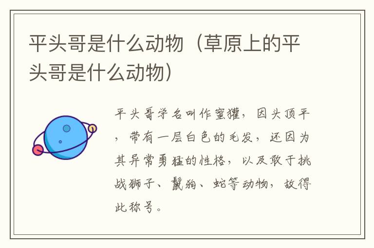 平头哥是什么动物（草原上的平头哥是什么动物）
