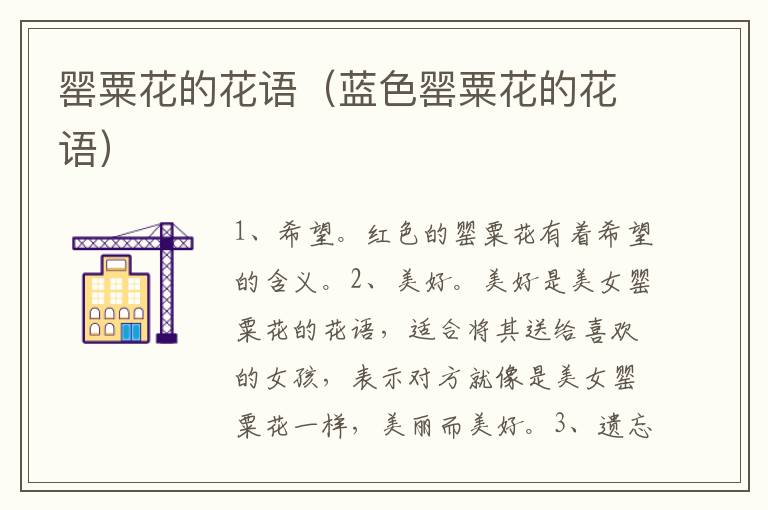 罂粟花的花语（蓝色罂粟花的花语）