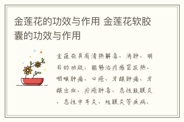 金莲花的功效与作用 金莲花软胶囊的功效与作用