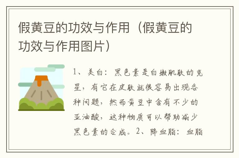 假黄豆的功效与作用（假黄豆的功效与作用图片）