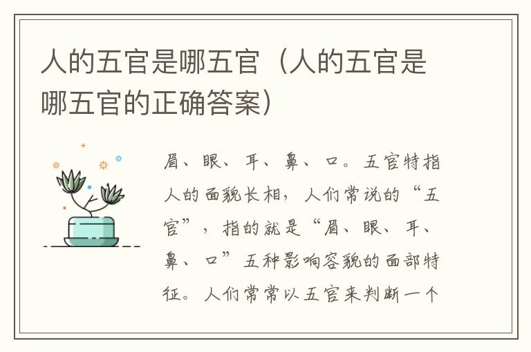 人的五官是哪五官（人的五官是哪五官的正确答案）