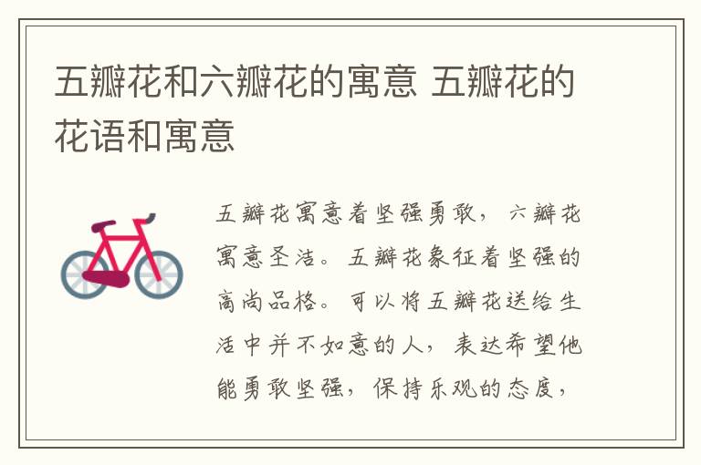 五瓣花和六瓣花的寓意 五瓣花的花语和寓意