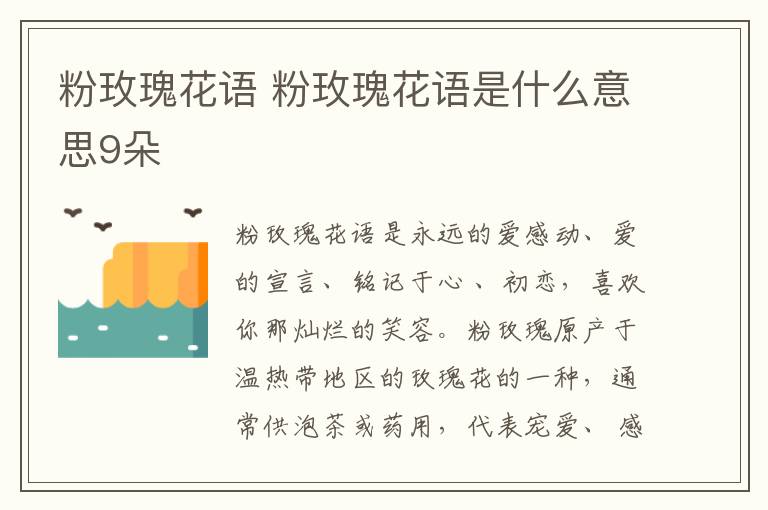 粉玫瑰花语 粉玫瑰花语是什么意思9朵