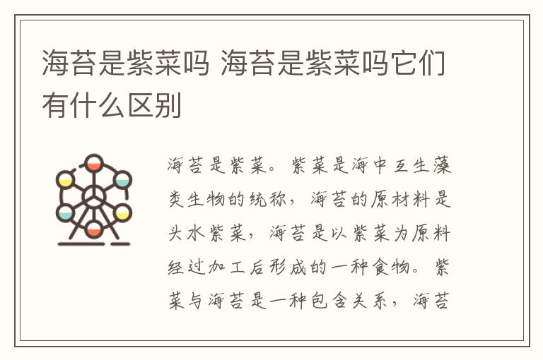 海苔是紫菜吗 海苔是紫菜吗它们有什么区别
