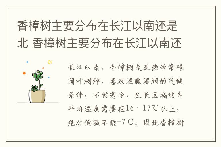 香樟树主要分布在长江以南还是北 香樟树主要分布在长江以南还是北方