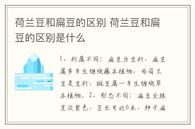 荷兰豆和扁豆的区别 荷兰豆和扁豆的区别是什么
