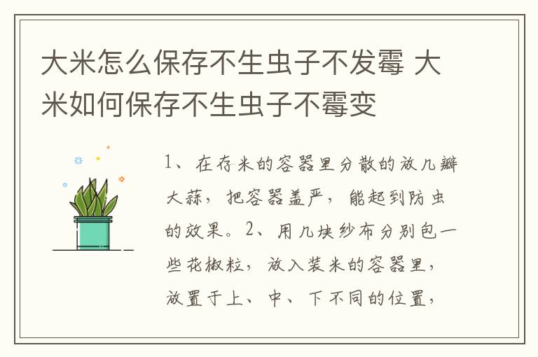 大米怎么保存不生虫子不发霉 大米如何保存不生虫子不霉变