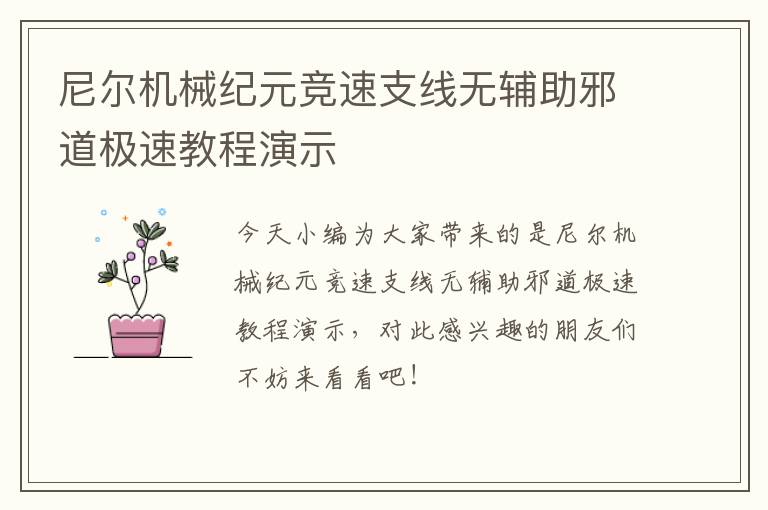 尼尔机械纪元竞速支线无辅助邪道极速教程演示