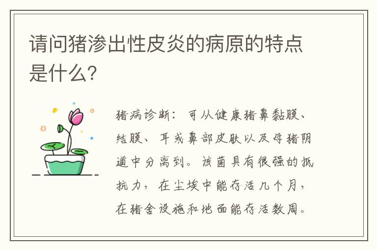 请问猪渗出性皮炎的病原的特点是什么？