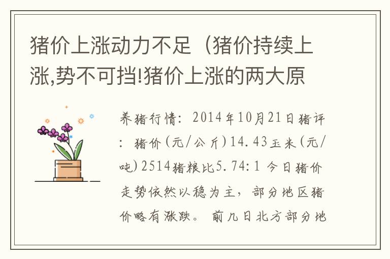 猪价上涨动力不足（猪价持续上涨,势不可挡!猪价上涨的两大原因你知道吗?）