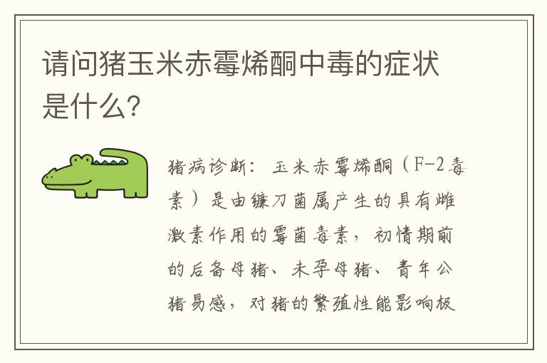请问猪玉米赤霉烯酮中毒的症状是什么？