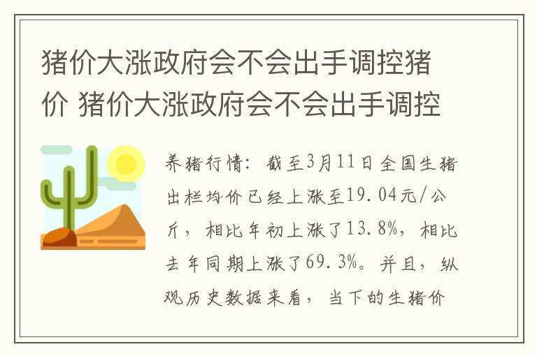 猪价大涨政府会不会出手调控猪价 猪价大涨政府会不会出手调控猪价的价格