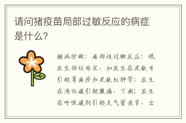 请问猪疫苗局部过敏反应的病症是什么？