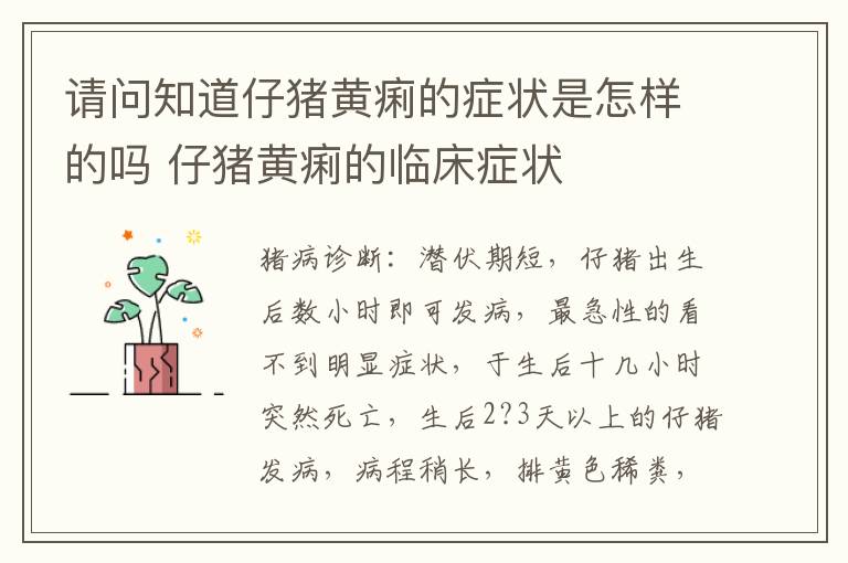 请问知道仔猪黄痢的症状是怎样的吗 仔猪黄痢的临床症状