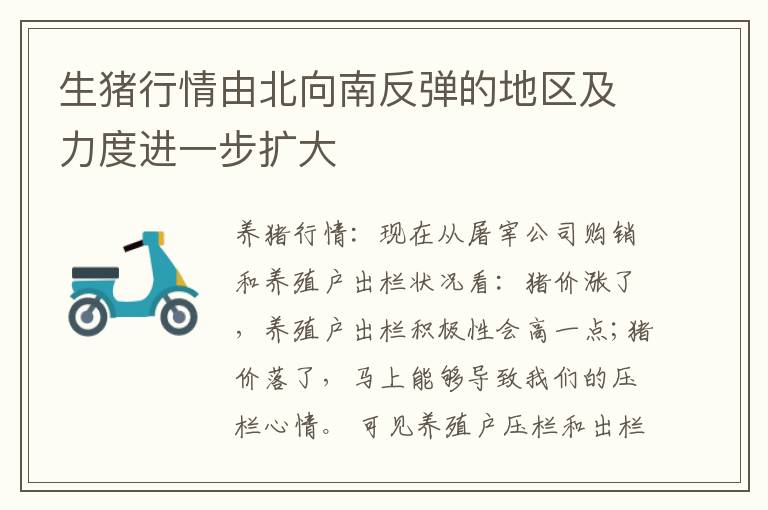 生猪行情由北向南反弹的地区及力度进一步扩大