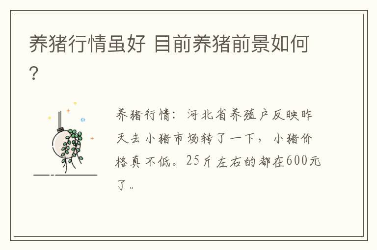 养猪行情虽好 目前养猪前景如何?