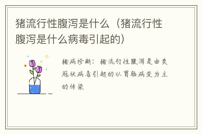 猪流行性腹泻是什么（猪流行性腹泻是什么病毒引起的）