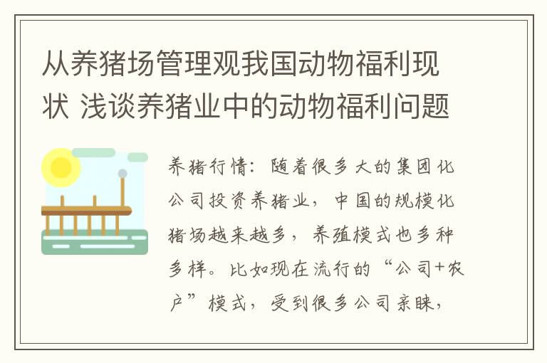 从养猪场管理观我国动物福利现状 浅谈养猪业中的动物福利问题
