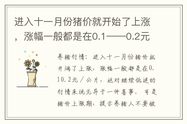 进入十一月份猪价就开始了上涨，涨幅一般都是在0.1——0.2元／公