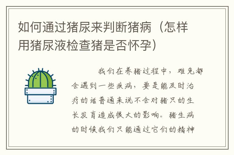 如何通过猪尿来判断猪病（怎样用猪尿液检查猪是否怀孕）