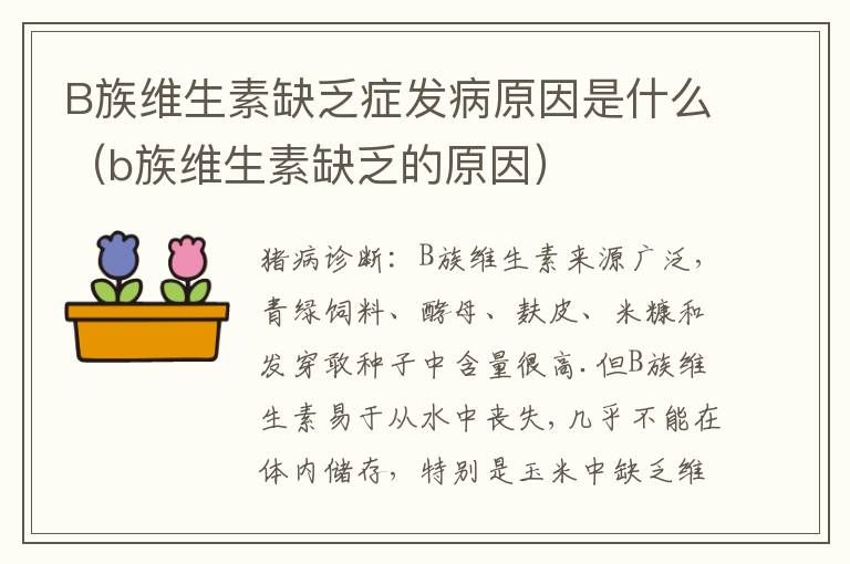 B族维生素缺乏症发病原因是什么（b族维生素缺乏的原因）