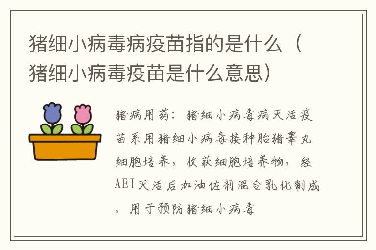 猪细小病毒病疫苗指的是什么（猪细小病毒疫苗是什么意思）