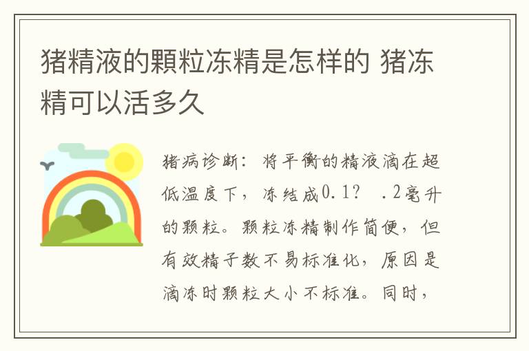猪精液的顆粒冻精是怎样的 猪冻精可以活多久