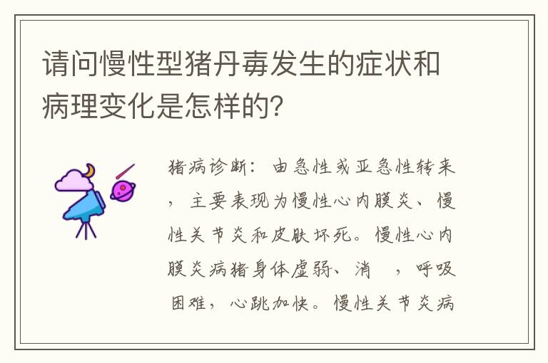 请问慢性型猪丹毐发生的症状和病理变化是怎样的？