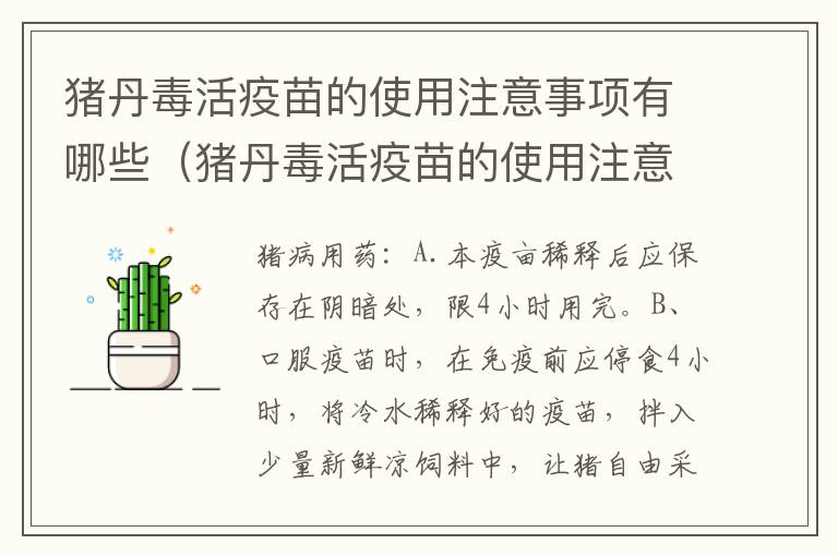 猪丹毒活疫苗的使用注意事项有哪些（猪丹毒活疫苗的使用注意事项有哪些症状）