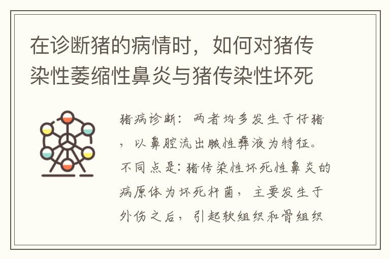 在诊断猪的病情时，如何对猪传染性萎缩性鼻炎与猪传染性坏死性鼻