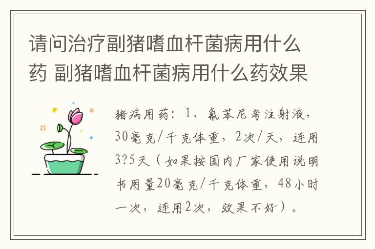 请问治疗副猪嗜血杆菌病用什么药 副猪嗜血杆菌病用什么药效果最好