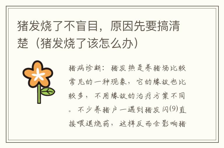 猪发烧了不盲目，原因先要搞清楚（猪发烧了该怎么办）